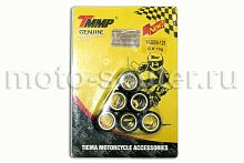 Ролики вариатора (комплект 6 штук) 16*13 9 грамм 139QMB, Honda